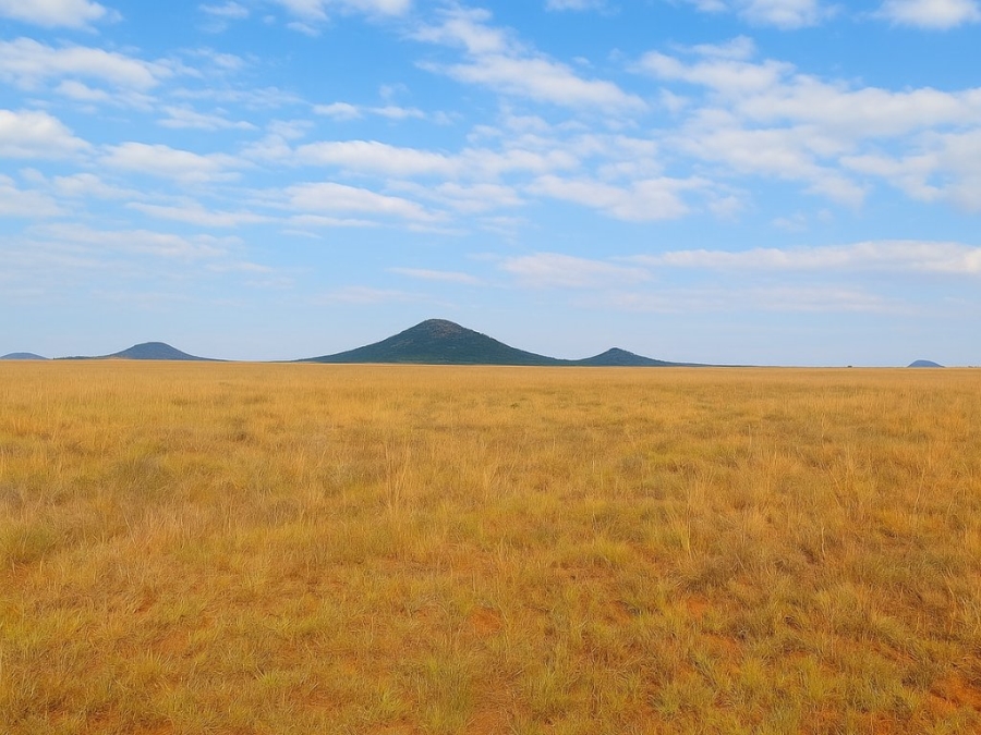  Bedroom Property for Sale in Bloemfontein Rural Free State